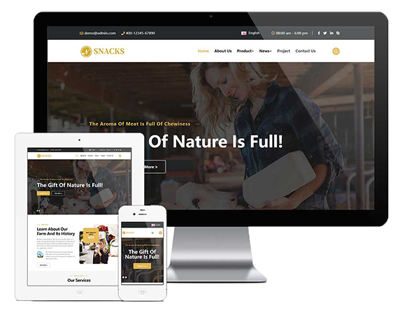 外贸多语言网站