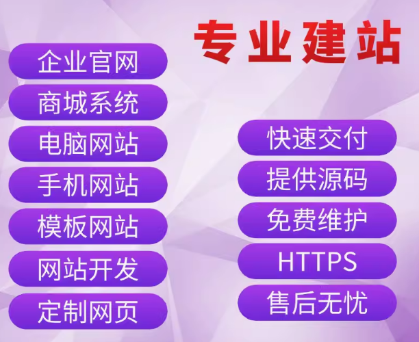 专业网站维护建站