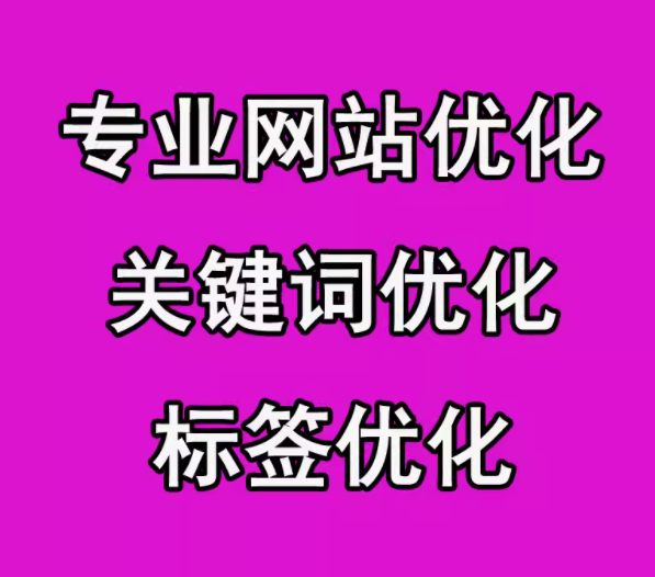 专业网站优化   关键词优化  标签优化