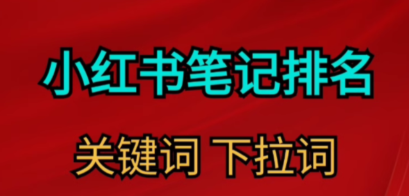 小红书笔记排名   关键词   下拉词