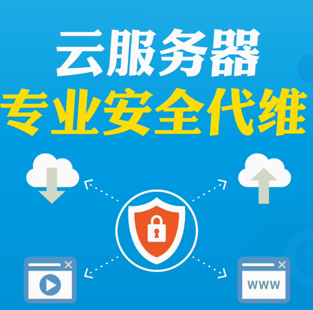 专业安全代维
