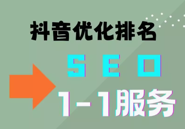 抖音 SEO 与网站优化 质与速关键