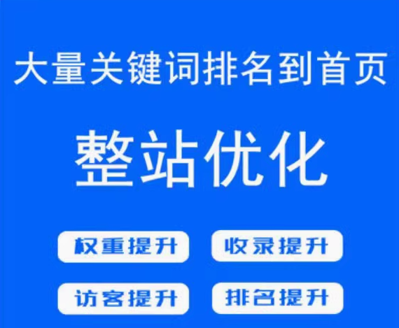 百度推广与 SEO 优化，开启网络营销新征程
