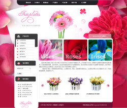 No.3020  仿真花制造企业网