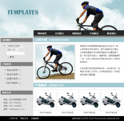 No.1005  自行车制造企业网